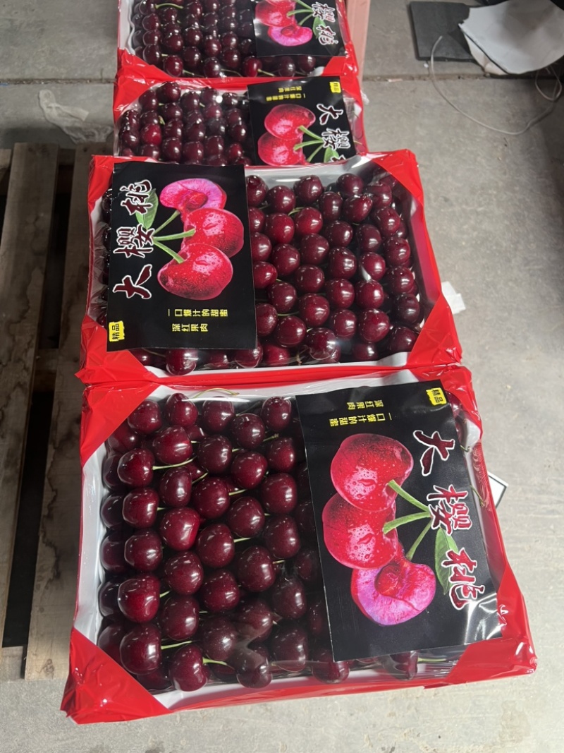 甘肃天水套袋大樱桃大量上市高品质一件代发2/3/5斤