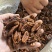 碧根果仁现货供应