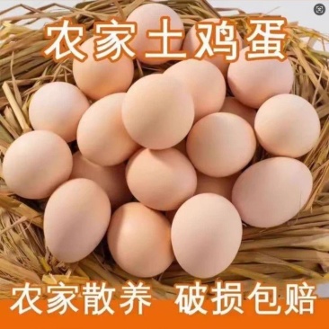 正宗农家谷饲慢养农家散养鸡蛋新鲜柴鸡蛋辅食虫草蛋土鸡蛋