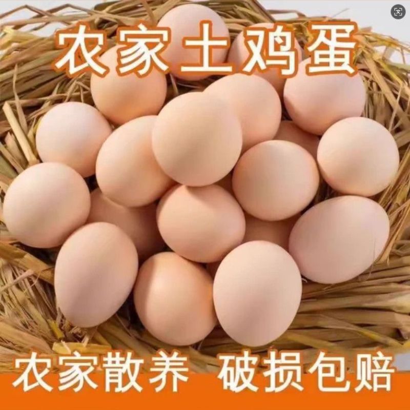 正宗农家谷饲慢养农家散养鸡蛋新鲜柴鸡蛋辅食虫草蛋土鸡蛋