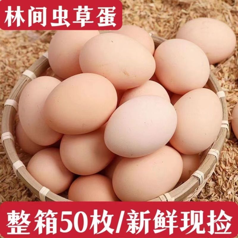 正宗农家谷饲慢养农家散养鸡蛋新鲜柴鸡蛋辅食虫草蛋土鸡蛋