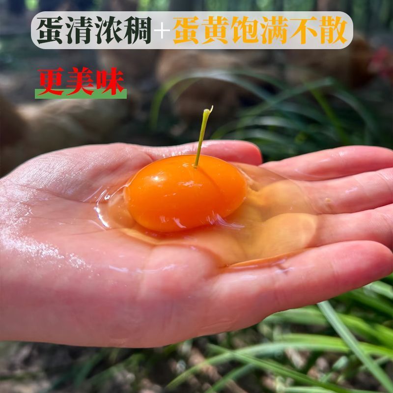 正宗农家谷饲慢养农家散养鸡蛋新鲜柴鸡蛋辅食虫草蛋土鸡蛋