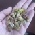 开心果仁生料新货