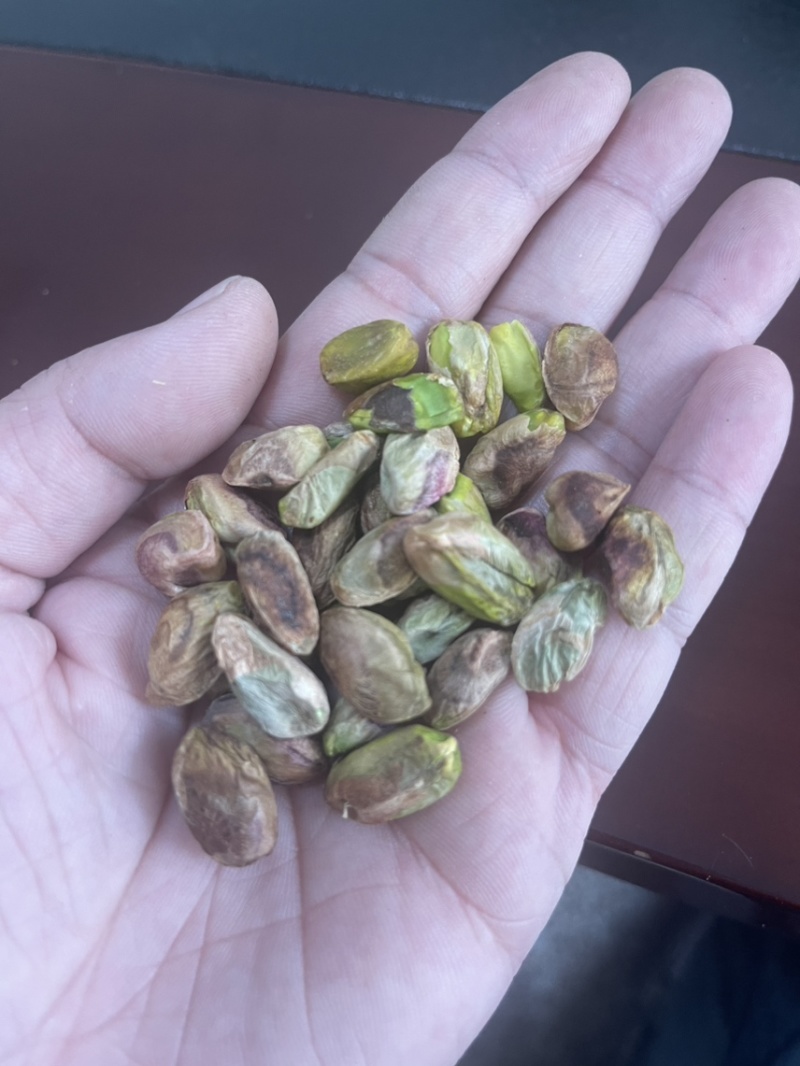 开心果仁生料新货
