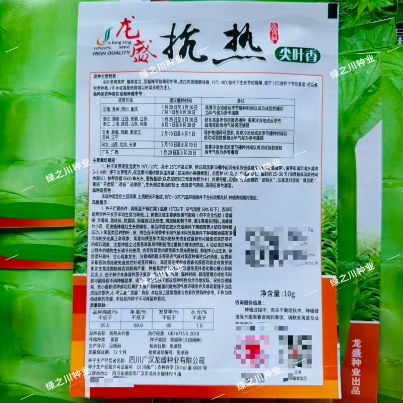 抗热尖叶香莴笋种子耐热莴苣种籽春夏秋主栽香莴笋种子