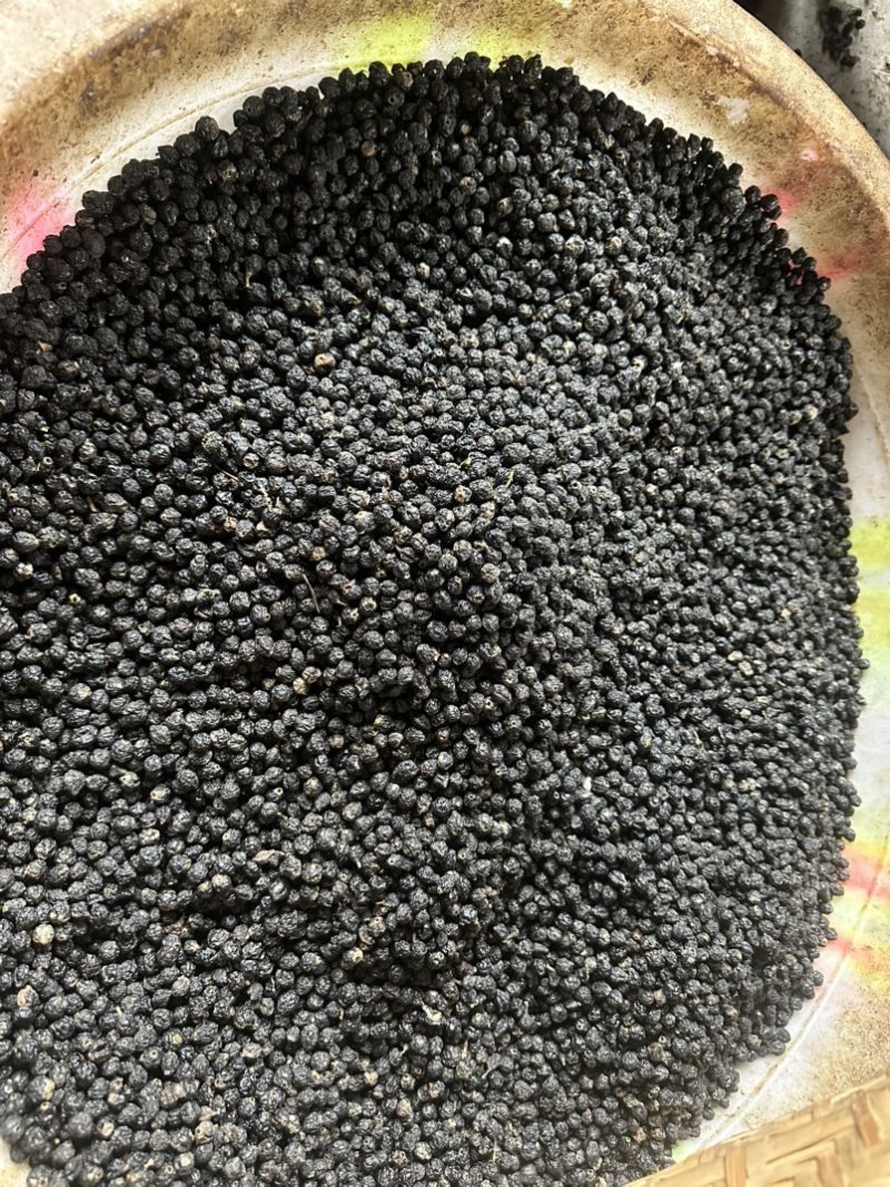俄罗斯🇷🇺小黑果还有3-4个月产新接受预定