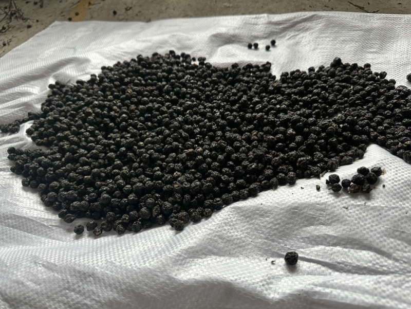俄罗斯🇷🇺小黑果还有3-4个月产新接受预定