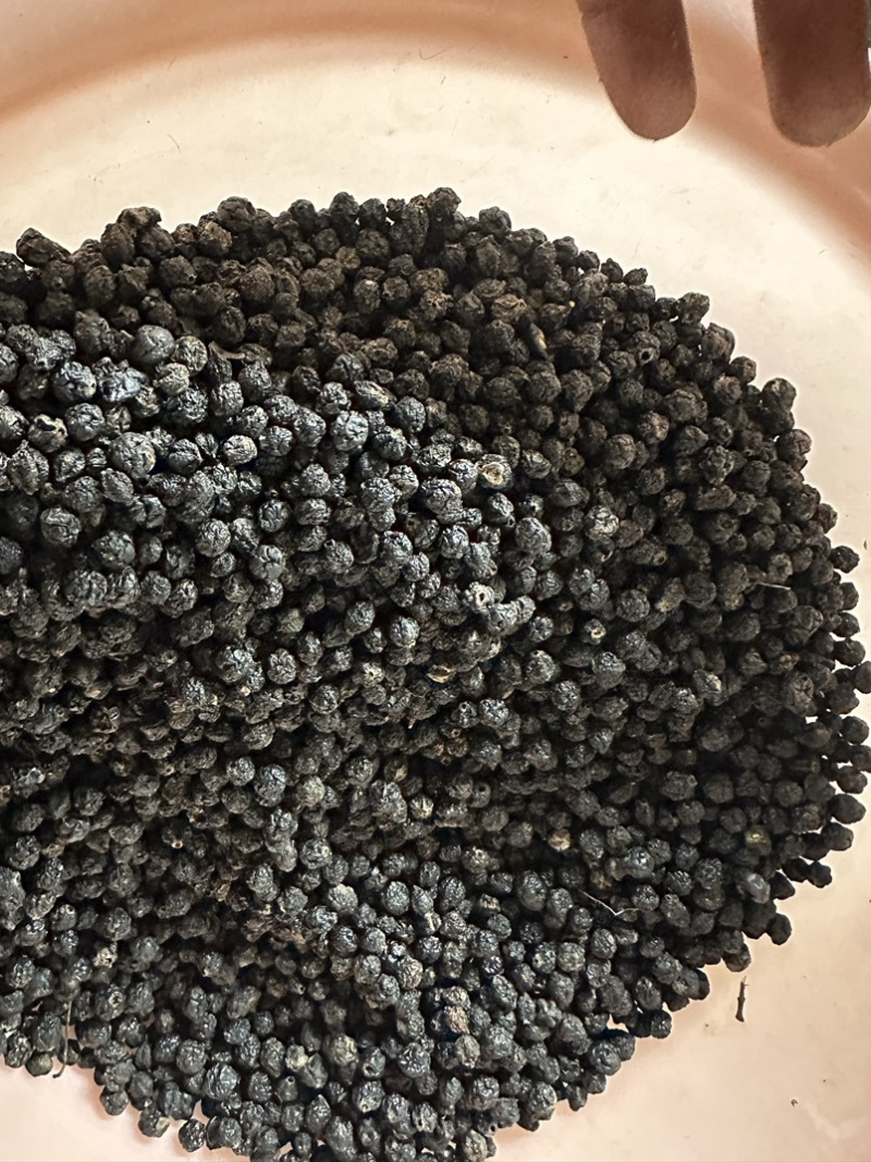 俄罗斯🇷🇺小黑果还有3-4个月产新接受预定