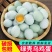 我老家新鲜乌鸡蛋40-45g绿壳蛋农村土鸡蛋