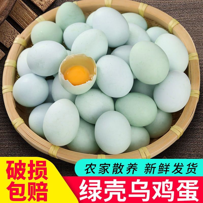我老家新鲜乌鸡蛋40-45g绿壳蛋农村土鸡蛋