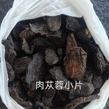 乌兰布和沙漠肉苁蓉，苁蓉基地，