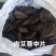 乌兰布和沙漠肉苁蓉源产地，苁蓉基地