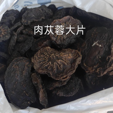 乌兰布和沙漠肉苁蓉源产地