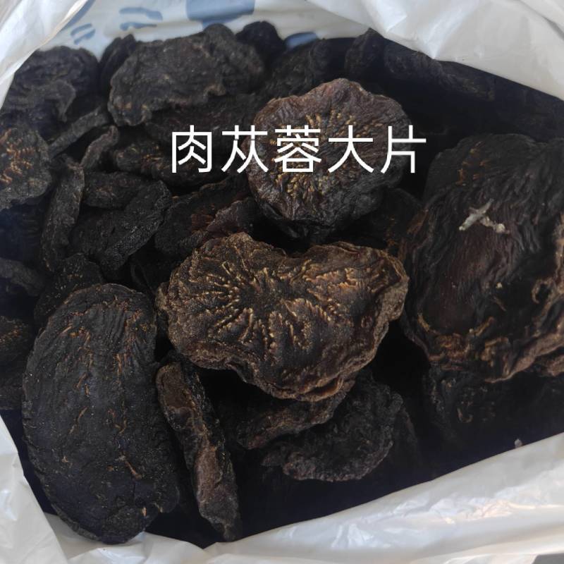 乌兰布和沙漠肉苁蓉源产地