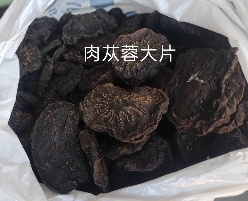 乌兰布和沙漠肉苁蓉源产地
