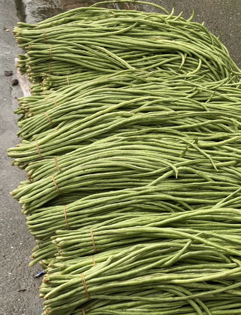 宜昌长豆角新货上市产地直供量大从优对接各大市场