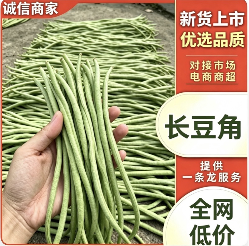 宜昌长豆角新货上市产地直供量大从优对接各大市场