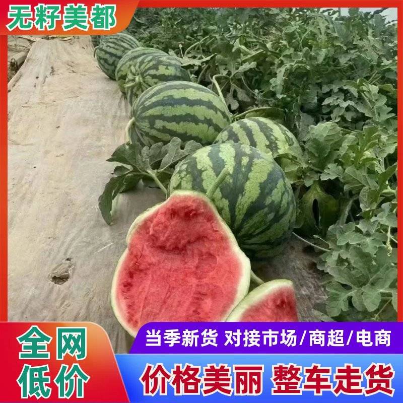 【推荐】无籽美都西瓜皮薄脆甜产地直发量大价格可谈