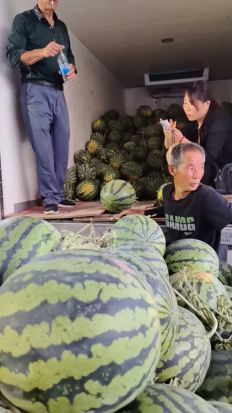 二茬锦王西瓜
