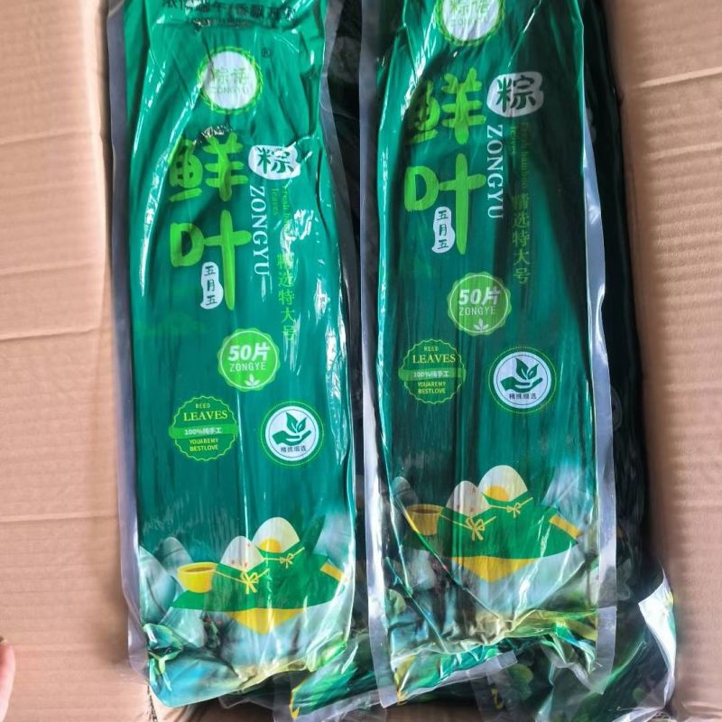 大量批发鲜粽叶