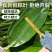 大量批发鲜粽叶
