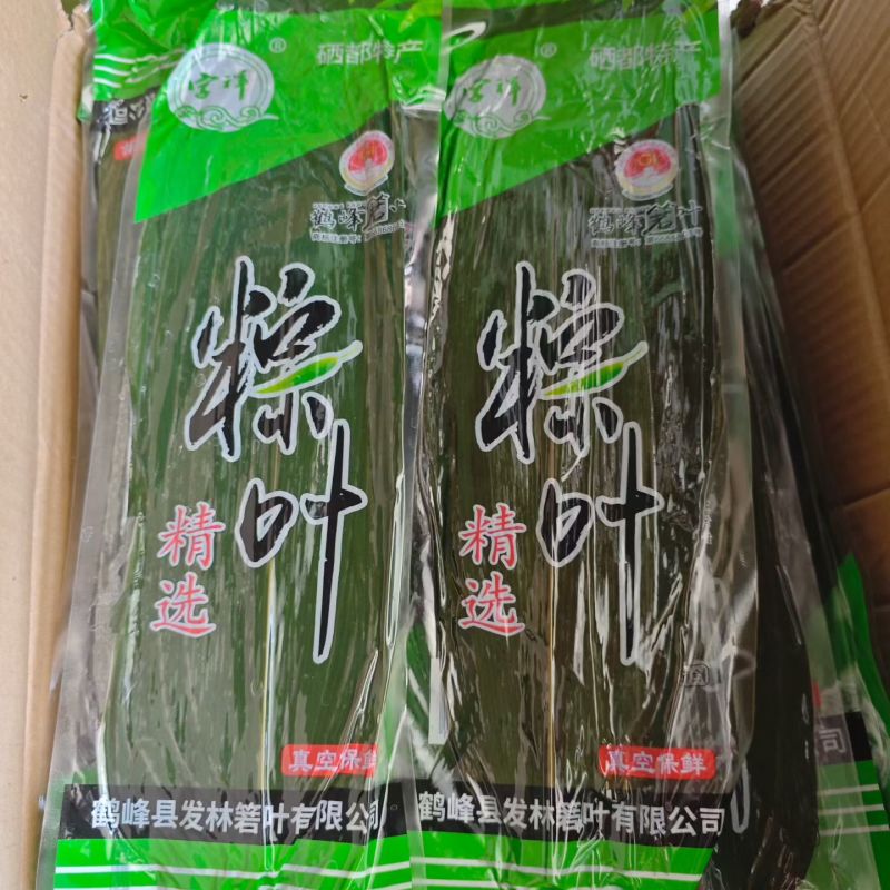 大量批发鲜粽叶