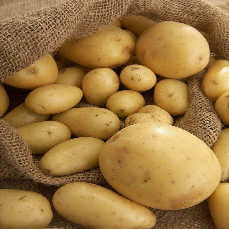 河南土豆大量上市，全国发货，关系咨询，质量保证