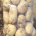河南土豆大量上市，全国发货，关系咨询，质量保证