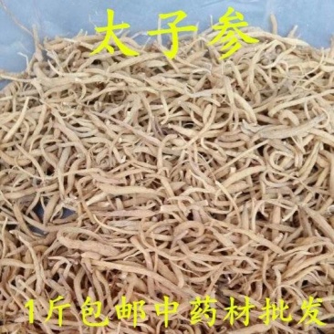 （包邮）中药材新货无硫太子参野生500克