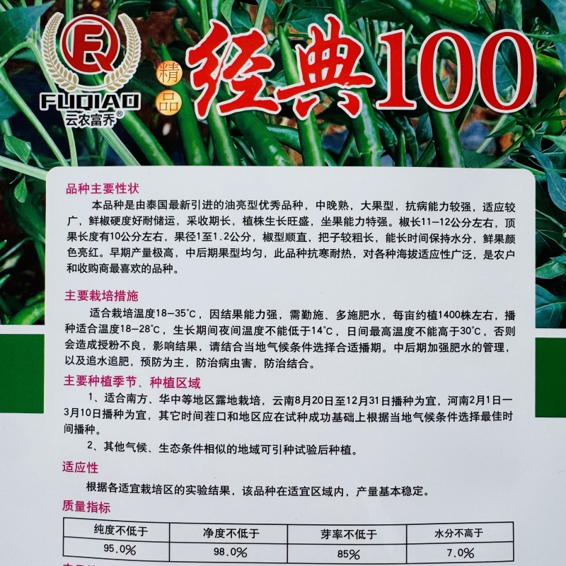 金刚雷神中熟超大果朝天椒种子耐热耐寒坐果率高适应性强高产