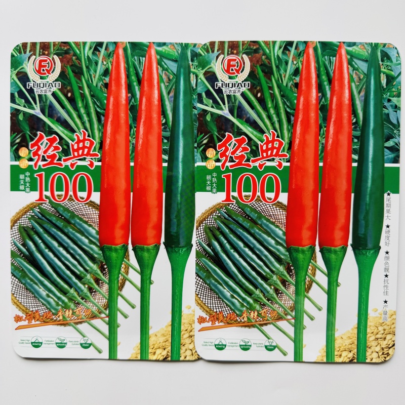 金刚雷神中熟超大果朝天椒种子耐热耐寒坐果率高适应性强高产