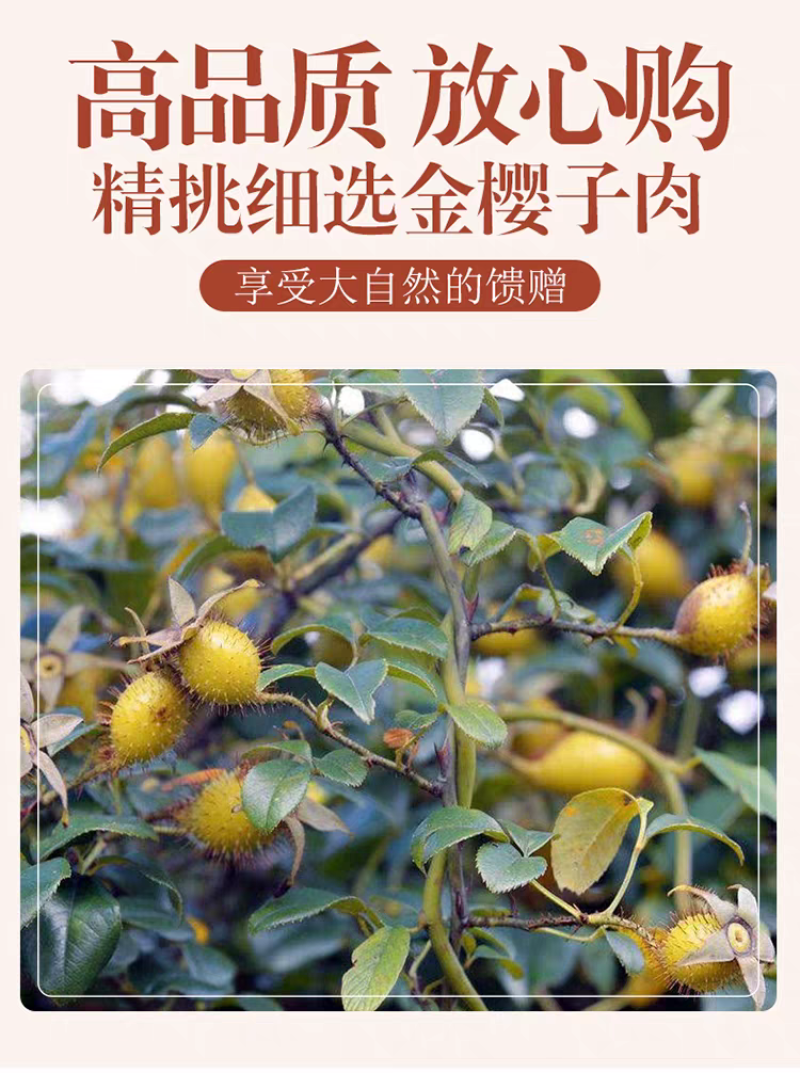 金樱子500g新鲜野生开边金樱子干金樱肉干肉泡酒