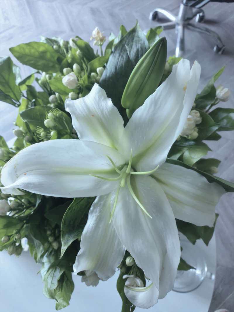 云南香水百合鲜花基地直发批发新鲜现采常年供应全年无休