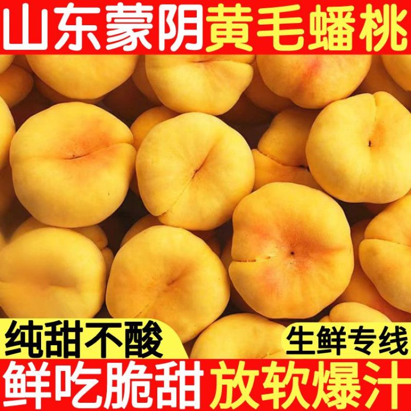 山东蒙阴黄油桃黄油蟠桃黄金油桃脆甜爆汁应季大果现摘现发