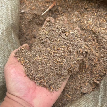 稻壳鸡粪稻壳麻鸡粪鸡粪谷壳鸡粪质优价廉