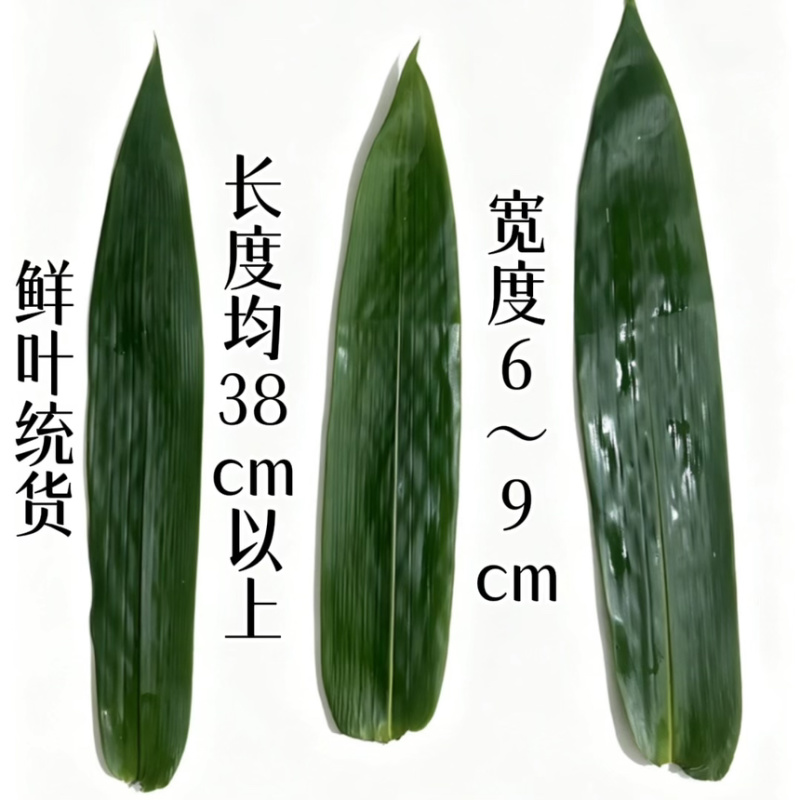 世界长寿之乡，原生态自然粽叶，现采摘