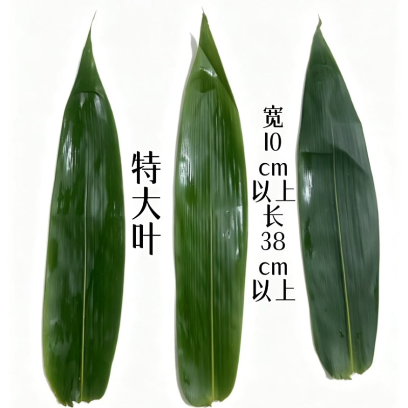 世界长寿之乡，原生态自然粽叶，现采摘
