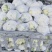 兰州精品花菜大量有货，质量很好，价格不高，欢迎采购