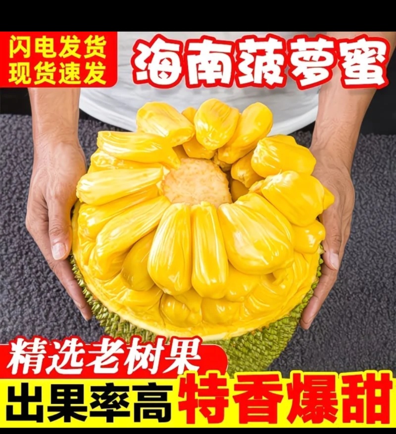 海南三亚黄肉菠萝蜜一整个新鲜水果14-17斤当季木波罗蜜