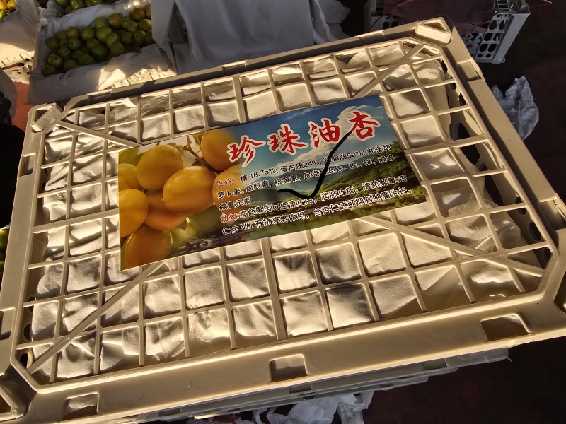 沂蒙山产地珍珠油杏大量上市口感嘎嘎脆欢迎订购