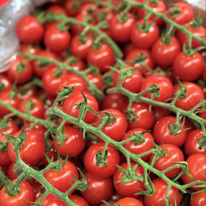 串串樱桃番茄🍅Saopolo无土栽培基地直发，长年供应