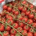 串串樱桃番茄🍅Saopolo无土栽培基地直发，长年供应