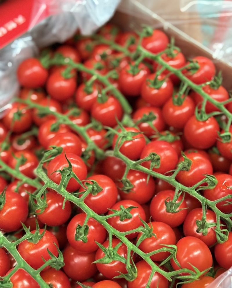 串串樱桃番茄🍅Saopolo无土栽培基地直发，长年供应