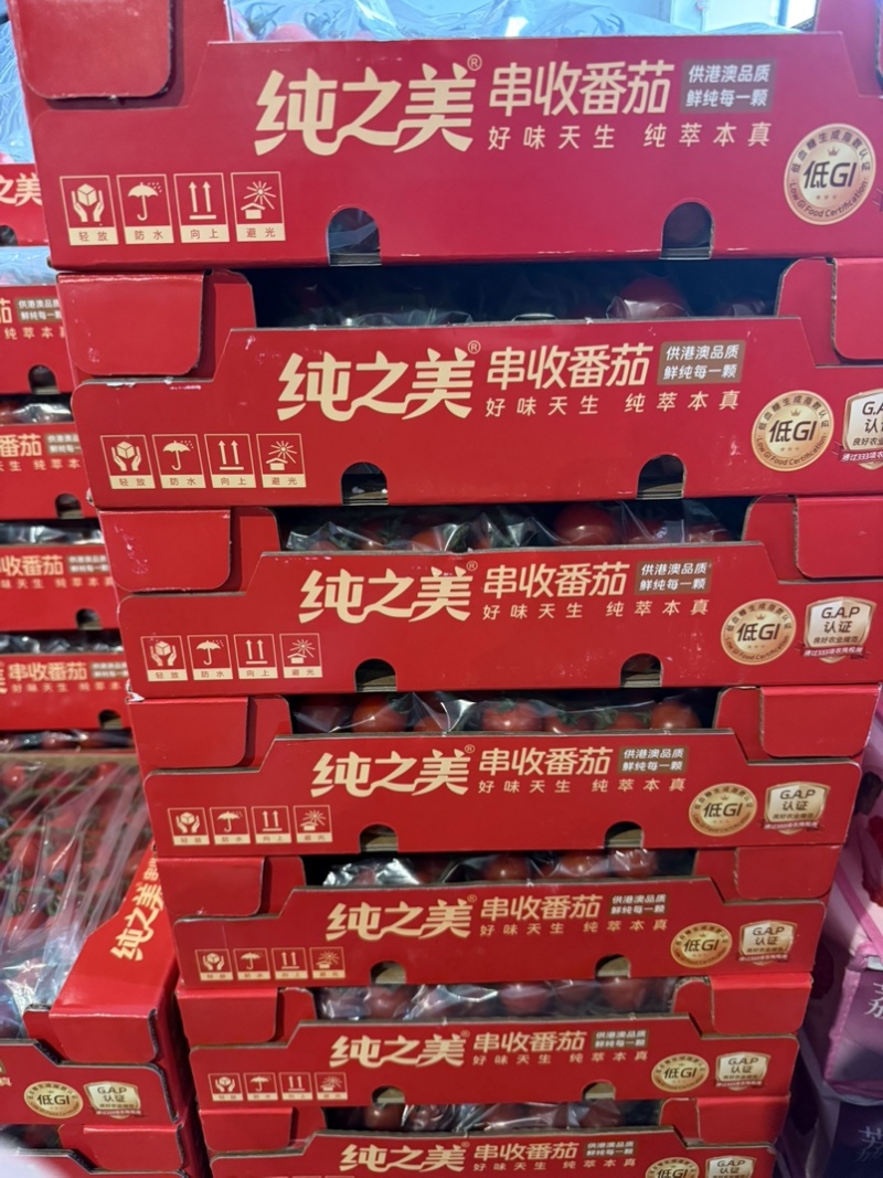 串串樱桃番茄🍅Saopolo无土栽培基地直发，长年供应