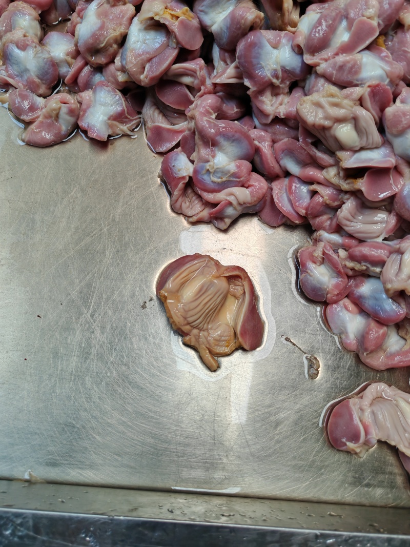 熟鸡胗长期有货可来料加工