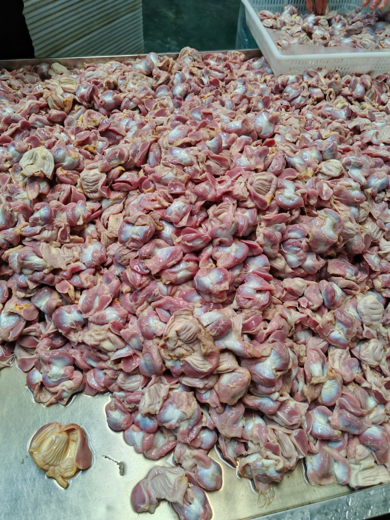 熟鸡胗长期有货可来料加工