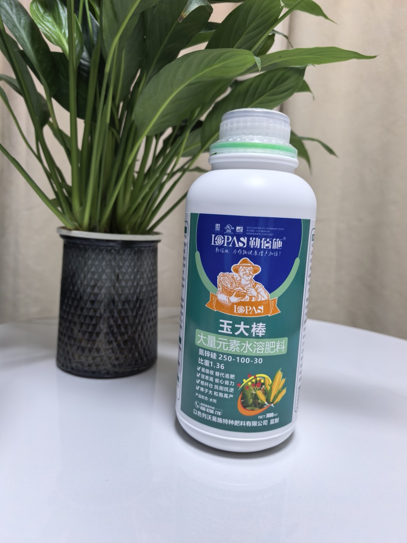 玉大棒玉米肥容易吸收替代追肥效率提高省心省力根杆粗壮