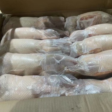 一级白条鸭带头带翅去爪