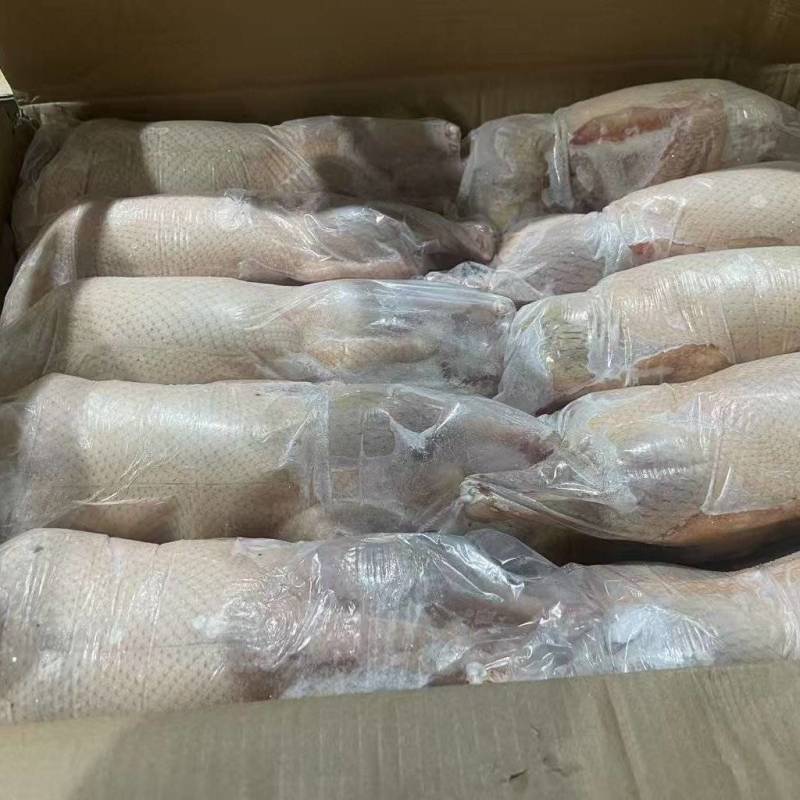 一级白条鸭带头带翅去爪