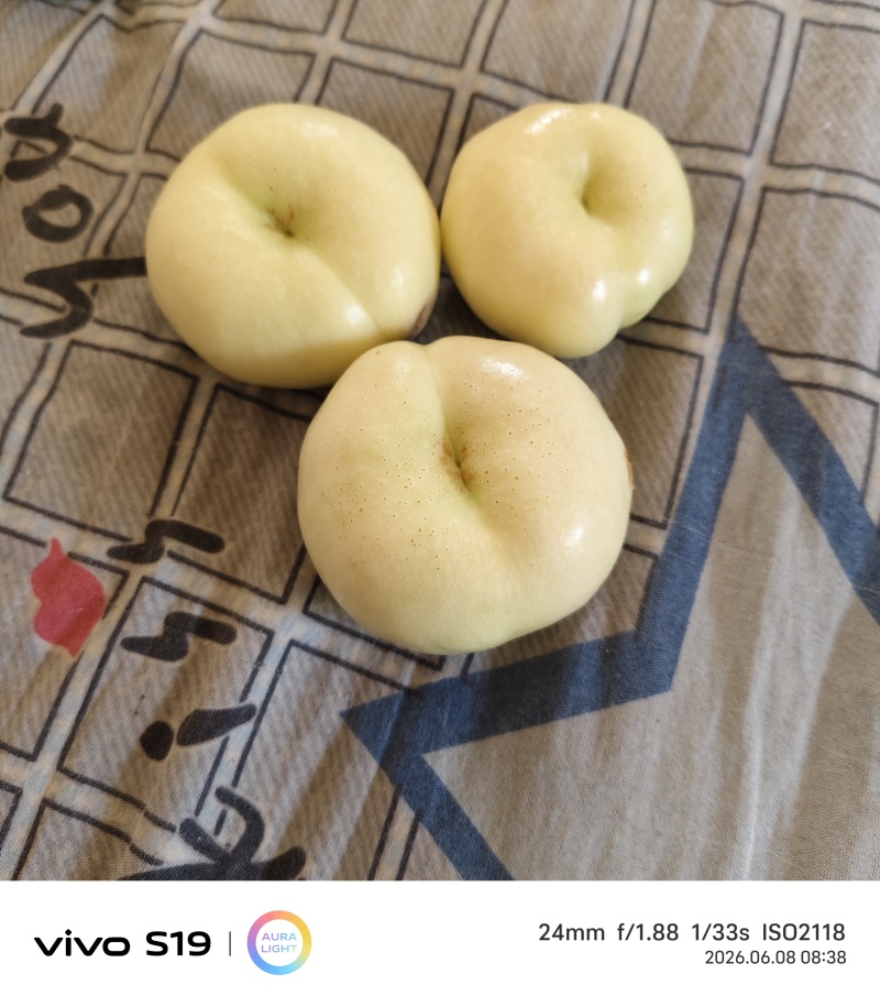 威县油桃，蟠桃大量上市！